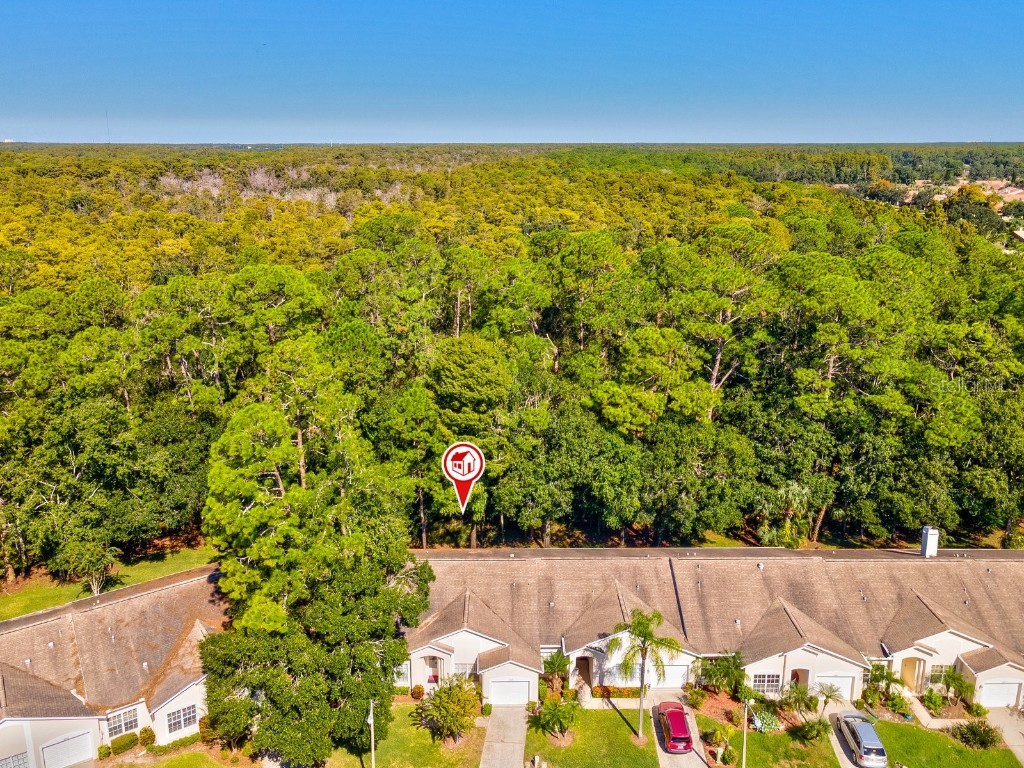 3504 Tealwood Circle Palm Harbor FL 34685 V4945379 image63