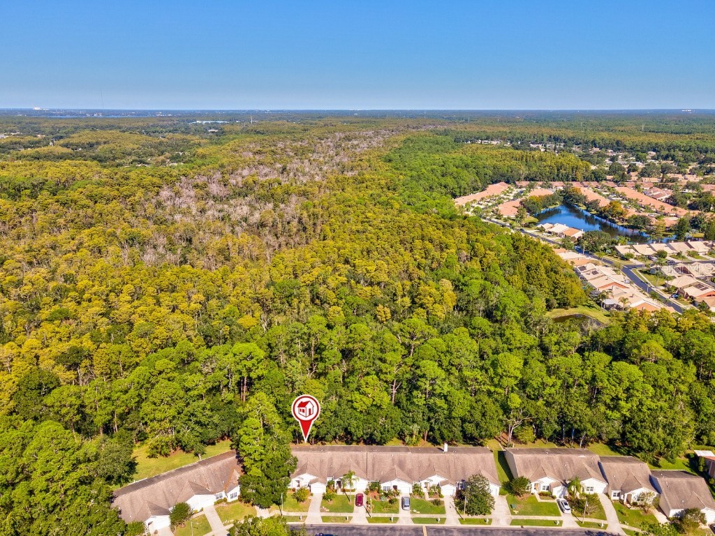 3504 Tealwood Circle Palm Harbor FL 34685 V4945379 image64