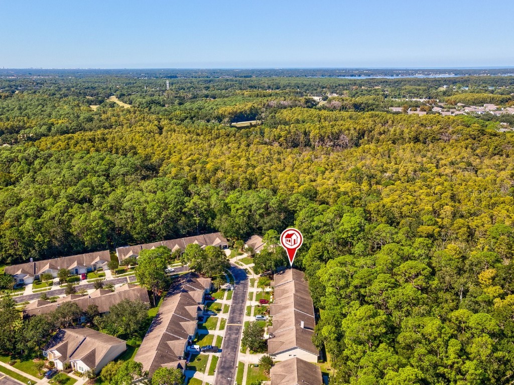 3504 Tealwood Circle Palm Harbor FL 34685 V4945379 image65