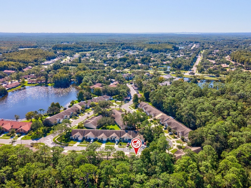 3504 Tealwood Circle Palm Harbor FL 34685 V4945379 image66