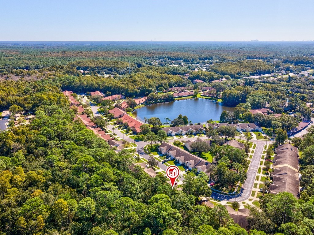 3504 Tealwood Circle Palm Harbor FL 34685 V4945379 image67