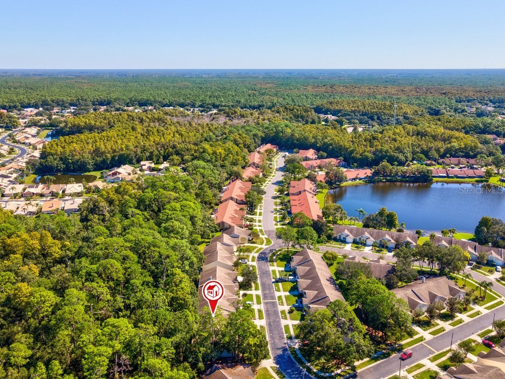 3504 Tealwood Circle Palm Harbor FL 34685 V4945379 image68