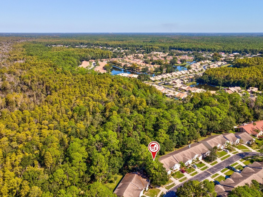 3504 Tealwood Circle Palm Harbor FL 34685 V4945379 image69