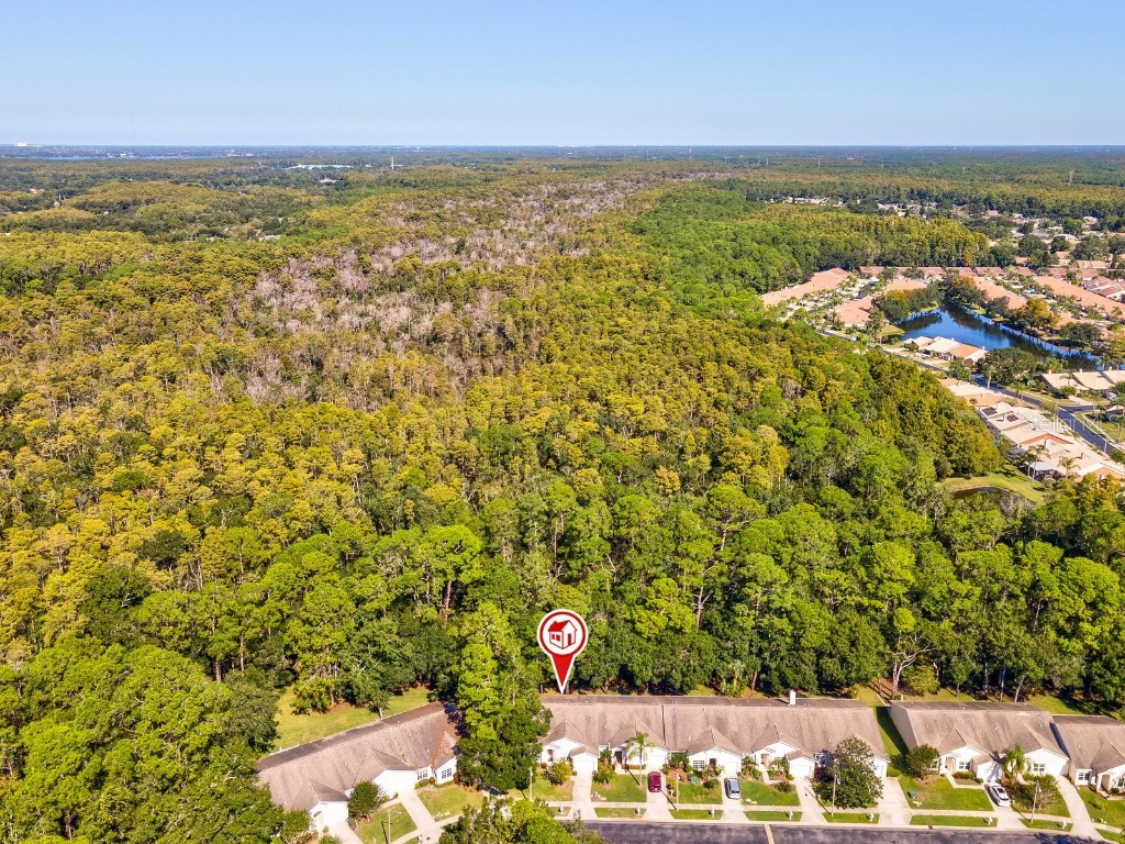 3504 Tealwood Circle Palm Harbor FL 34685 V4945379 image70