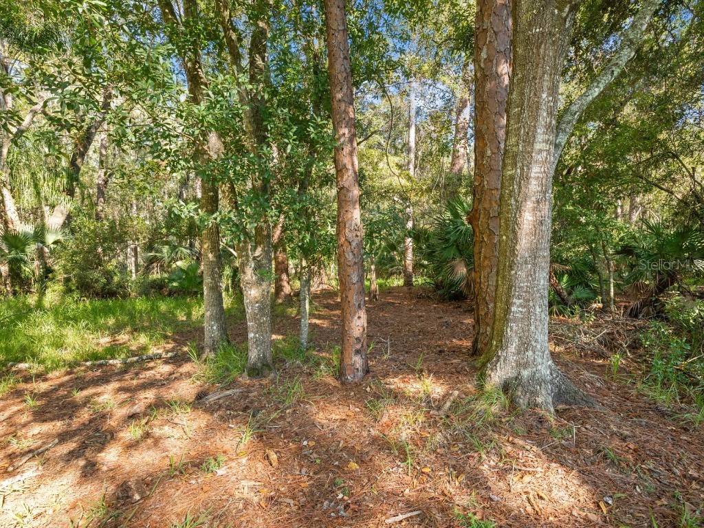 3504 Tealwood Circle Palm Harbor FL 34685 V4945379 image71