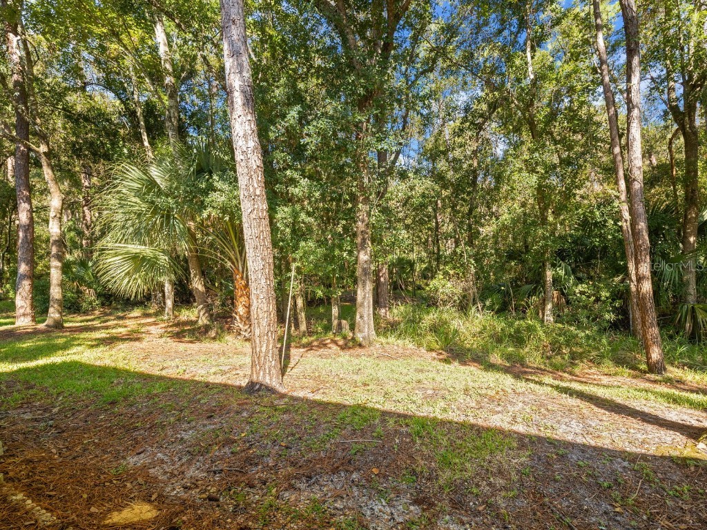 3504 Tealwood Circle Palm Harbor FL 34685 V4945379 image80