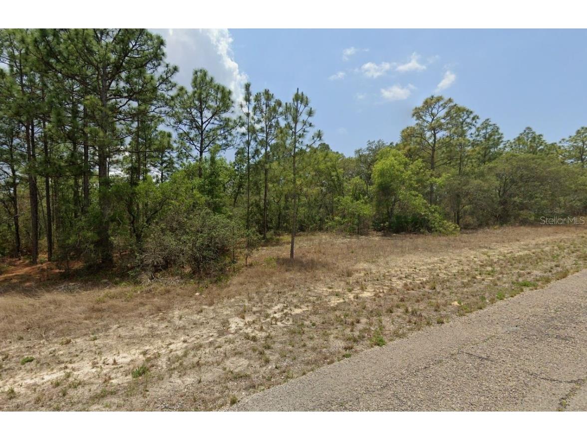 3504 W Seahorse Lane Dunnellon FL 34433 T3533862 image1