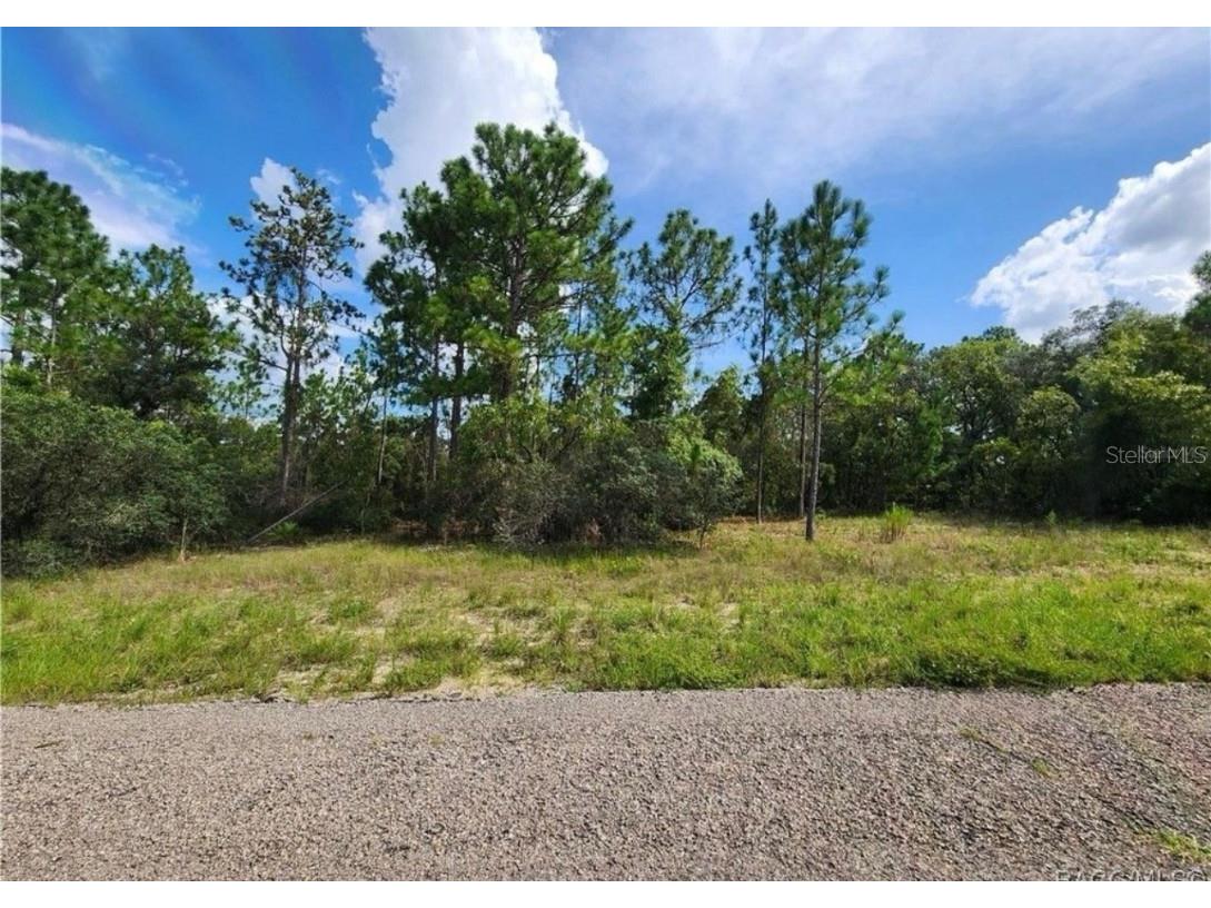 3504 W Seahorse Lane Dunnellon FL 34433 O6331801 image1