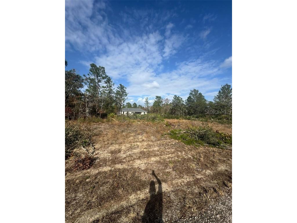 3504 W Seahorse Lane Dunnellon FL 34433 O6331801 image2