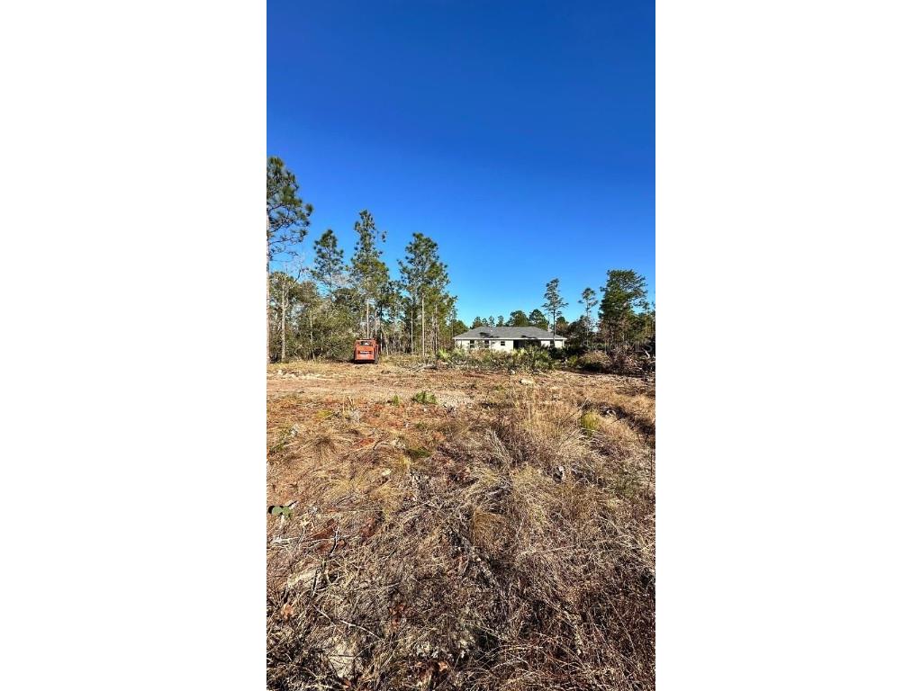 3504 W Seahorse Lane Dunnellon FL 34433 O6331801 image3