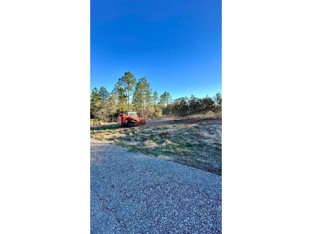 3504 W Seahorse Lane Dunnellon FL 34433 O6331801 image4