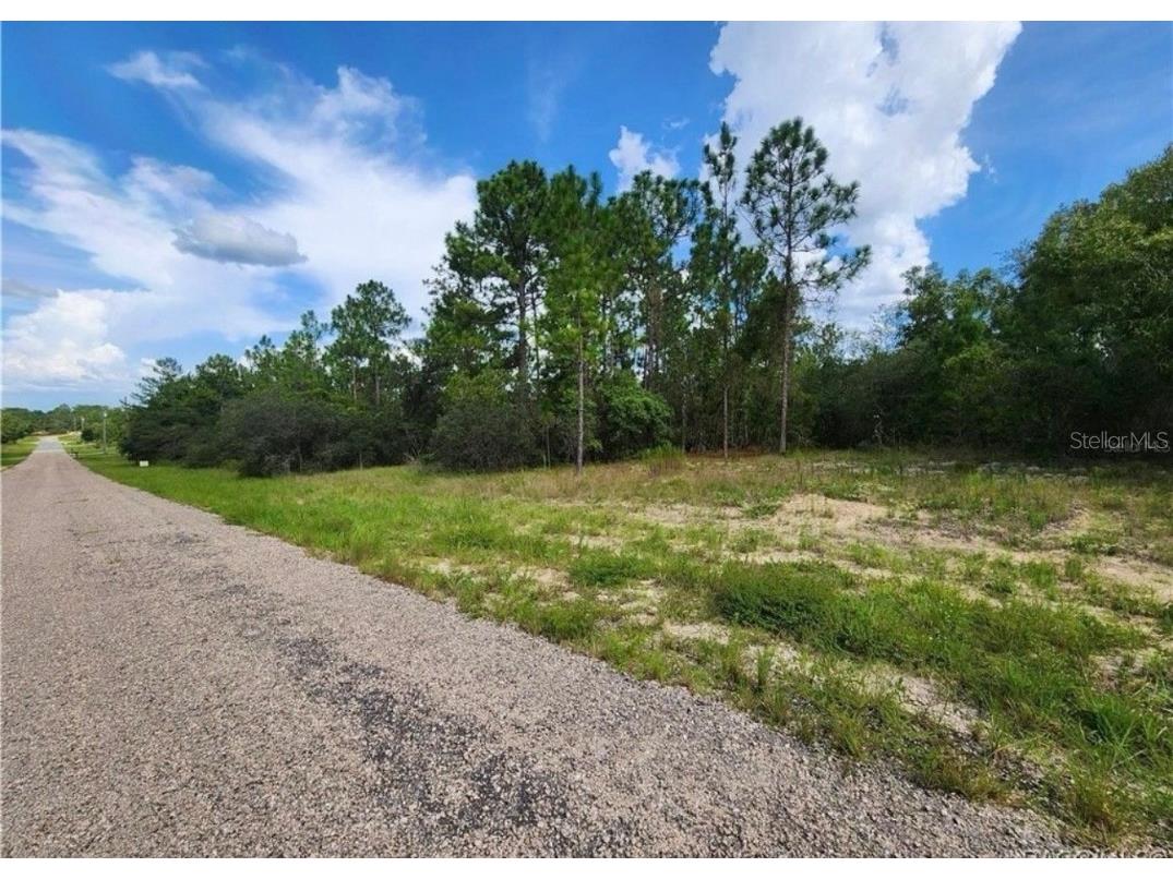 3504 W Seahorse Lane Dunnellon FL 34433 O6331801 image5