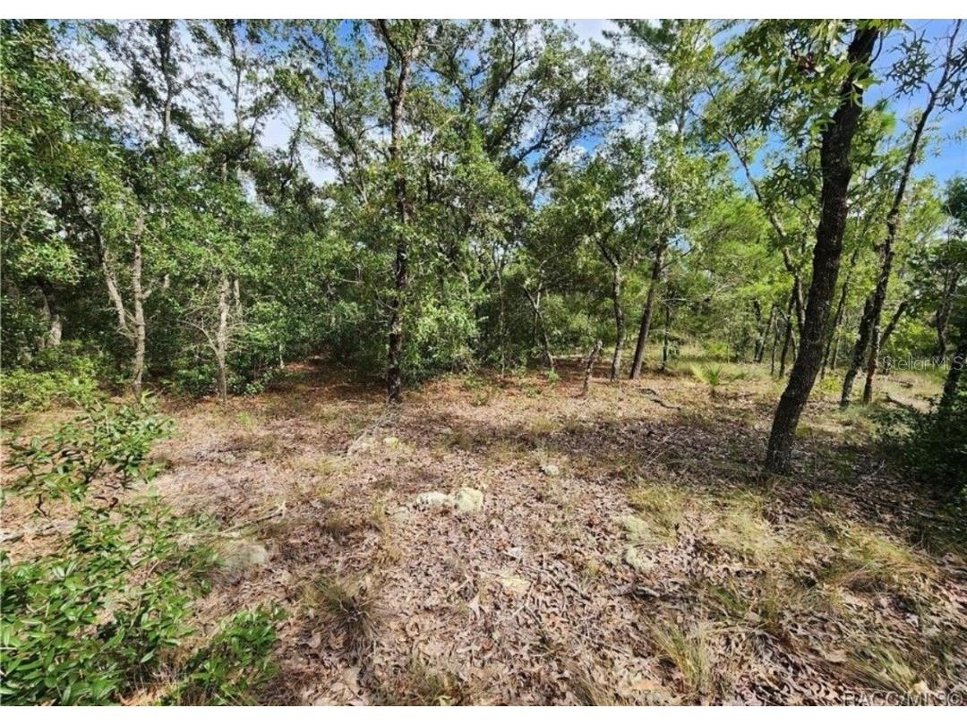 3504 W Seahorse Lane Dunnellon FL 34433 O6331801 image7