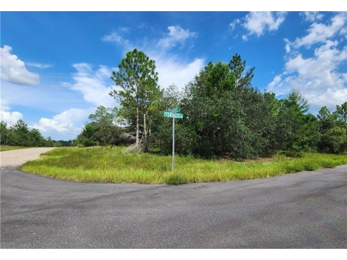 3504 W Seahorse Lane Dunnellon FL 34433 O6331801 image8