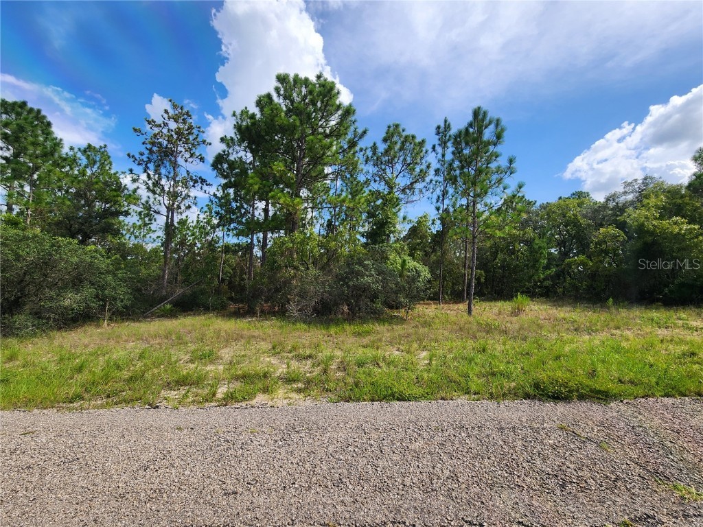 3504 W Seahorse Lane Dunnellon FL 34433 OM682788 image1