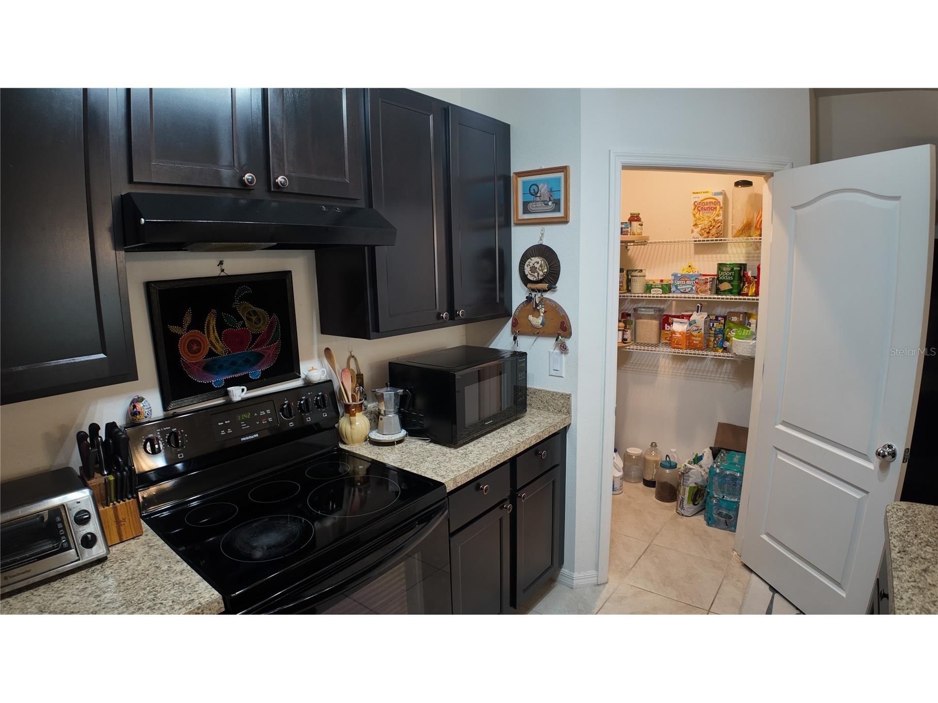 35045 Sweet Leaf Lane Leesburg FL 34788 S5145082 image8