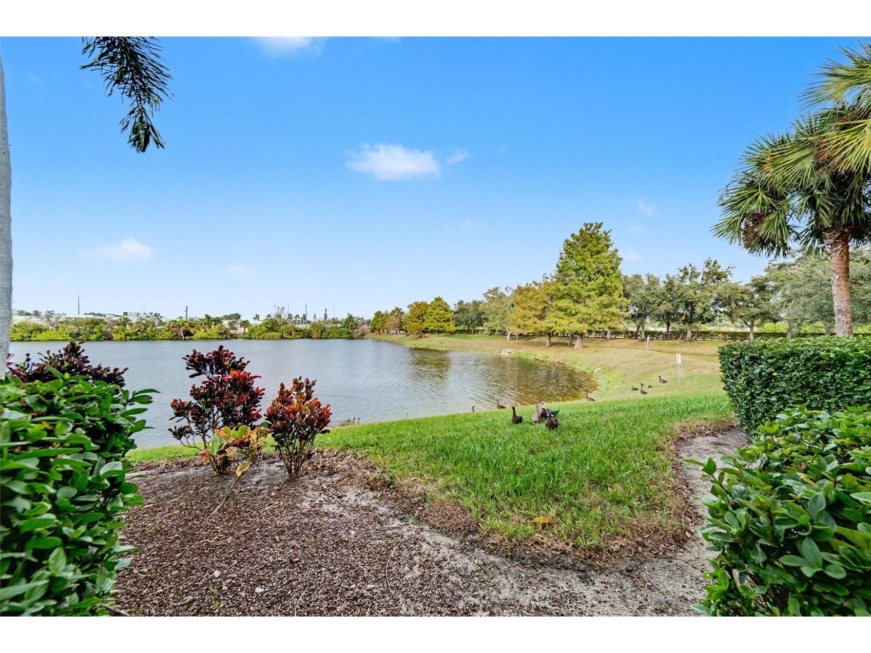 3505 45th Terrace W #105 Bradenton FL 34210 A4673981 image25