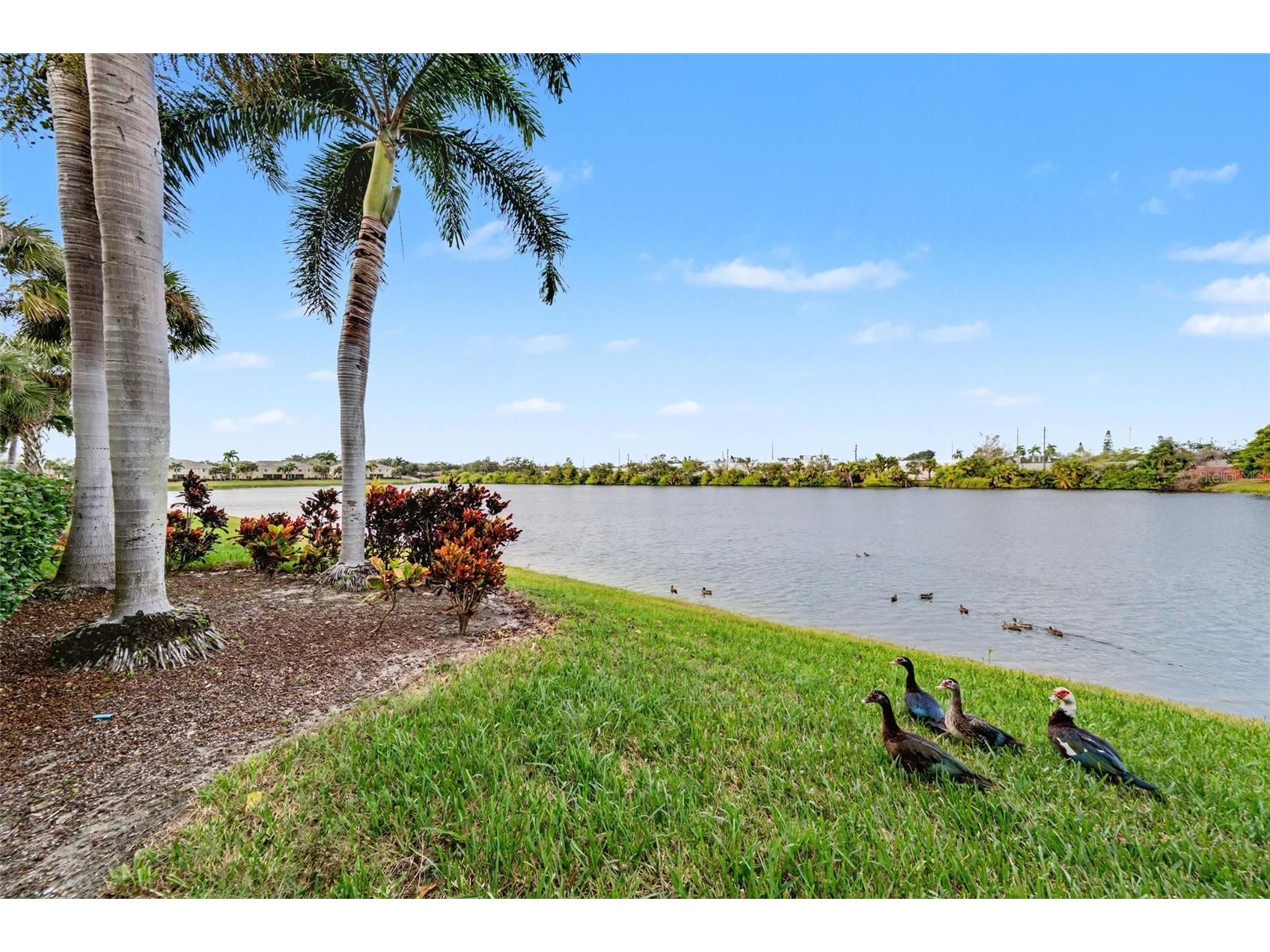 3505 45th Terrace W #105 Bradenton FL 34210 A4673981 image26