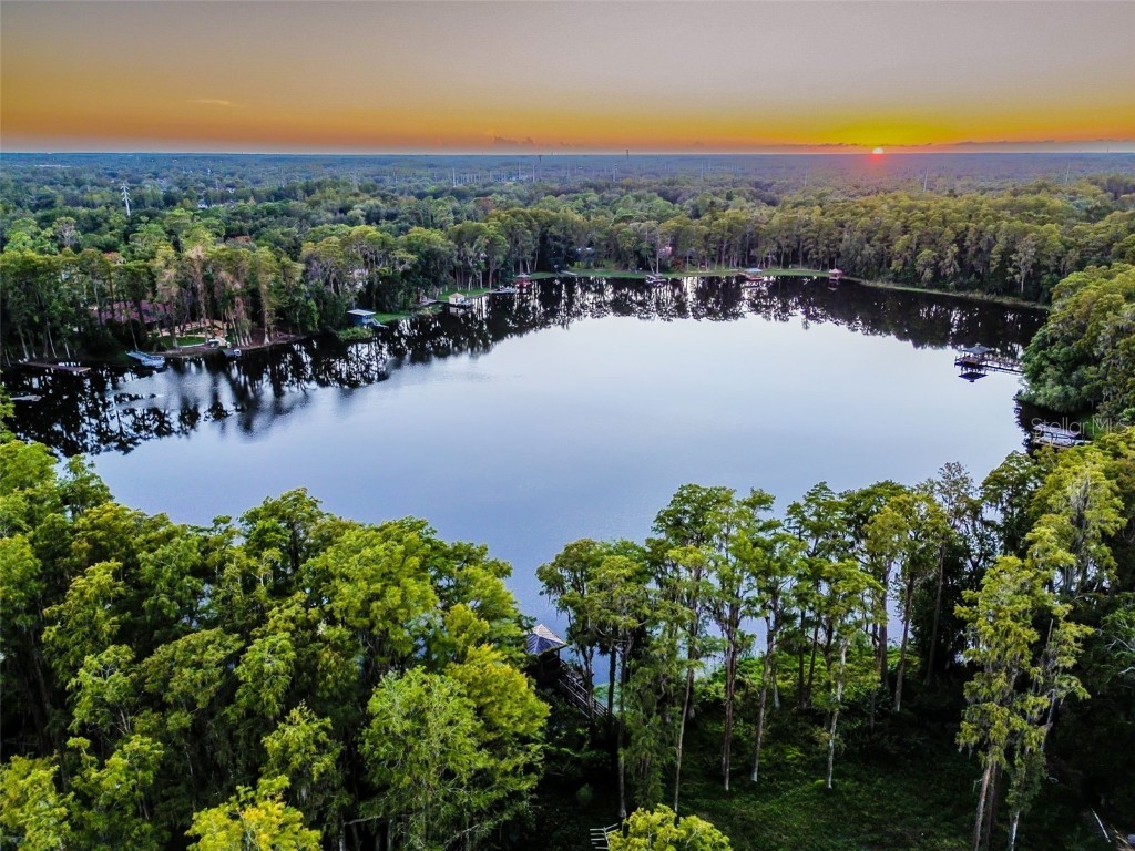 3505 Berger Road Lutz FL 33548 - SADDLEBACK LAKE TB8437835 image71