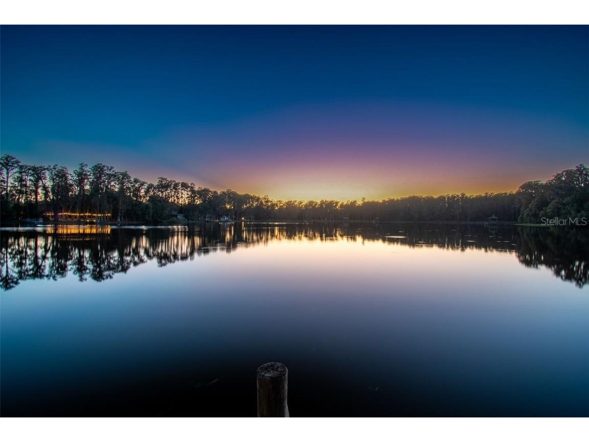 3505 Berger Road Lutz FL 33548 - SADDLEBACK LAKE TB8437835 image79