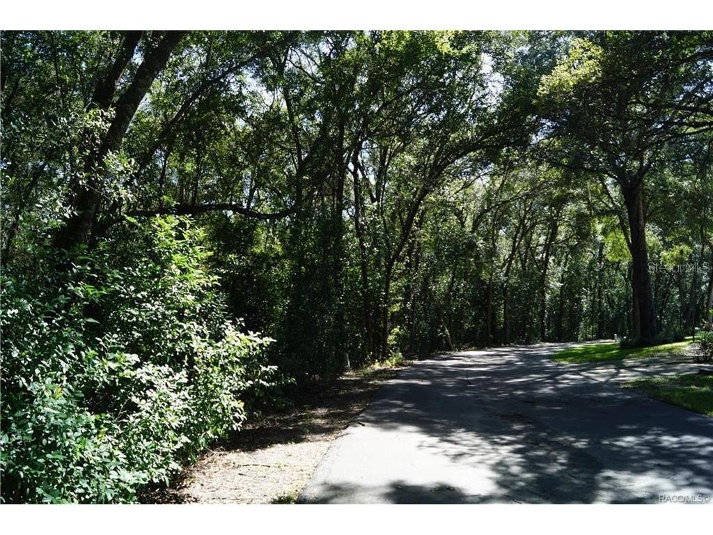 3505 N Woodgate Drive Beverly Hills FL 34465 OM683646 image1