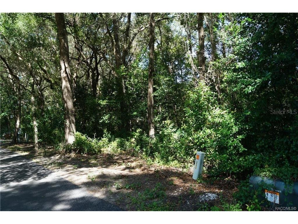 3505 N Woodgate Drive Beverly Hills FL 34465 OM683646 image4