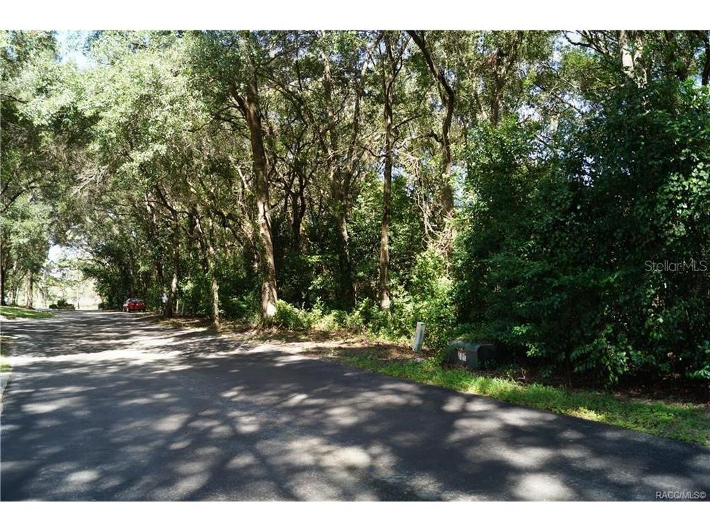 3505 N Woodgate Drive Beverly Hills FL 34465 OM683646 image5