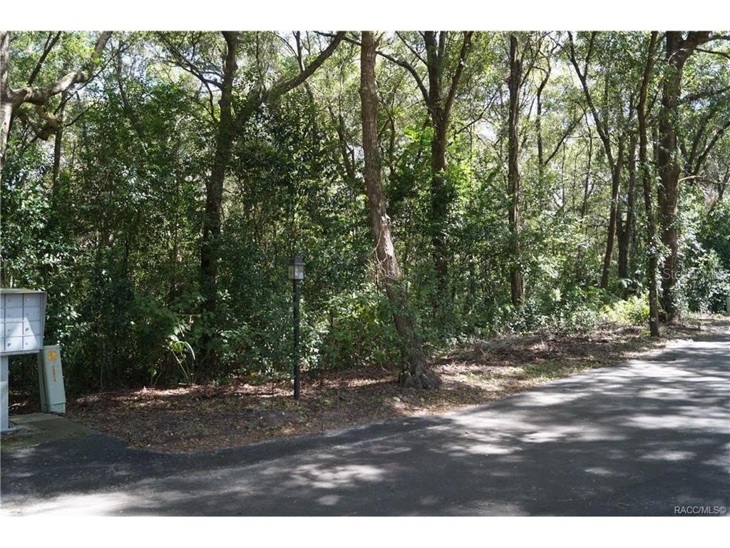 3505 N Woodgate Drive Beverly Hills FL 34465 OM683646 image6