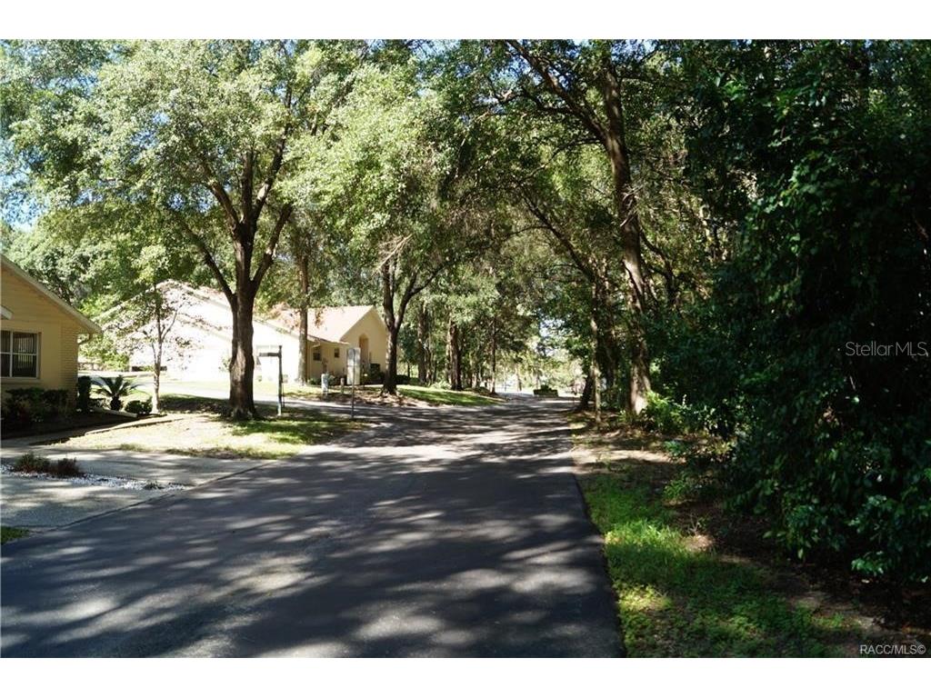 3505 N Woodgate Drive Beverly Hills FL 34465 OM683646 image8