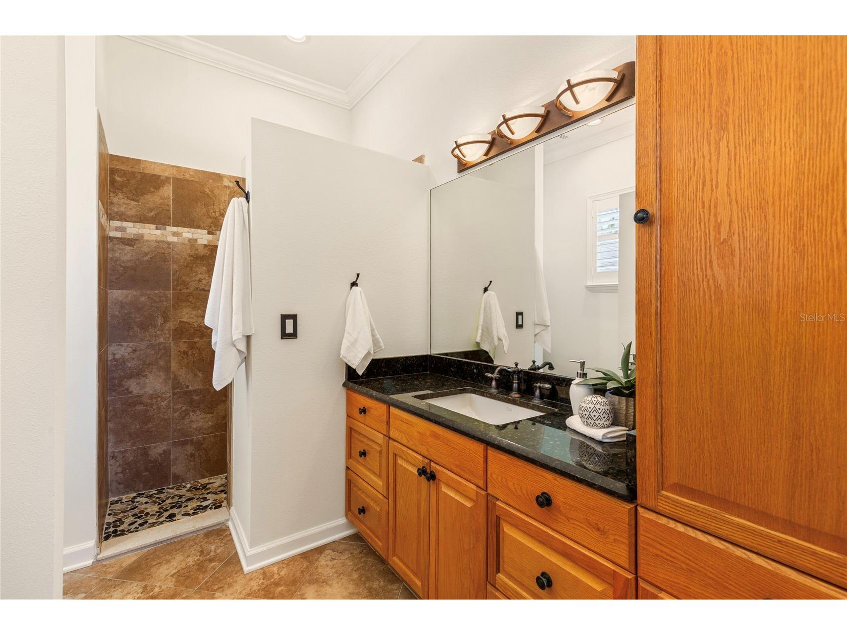 3505 Seaway Drive New Port Richey FL 34652 TB8480599 image24