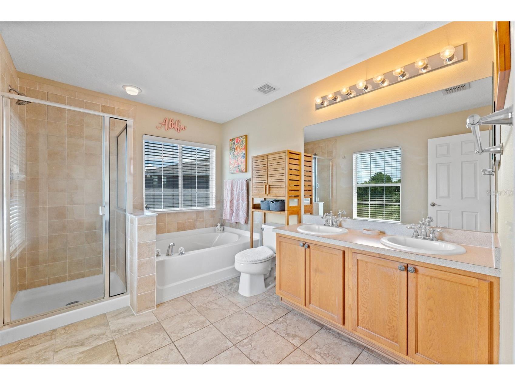 3505 Tarbolton Land O Lakes FL 34638 TB8520707 image23
