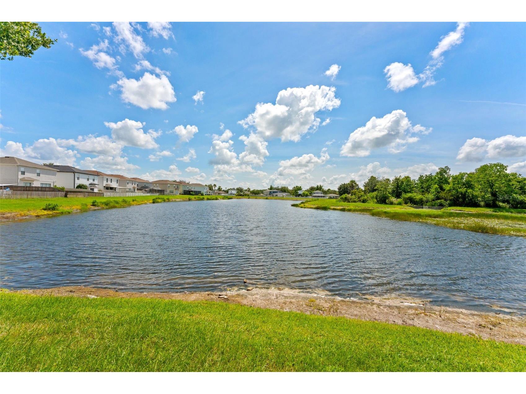 3505 Tarbolton Land O Lakes FL 34638 TB8520707 image44