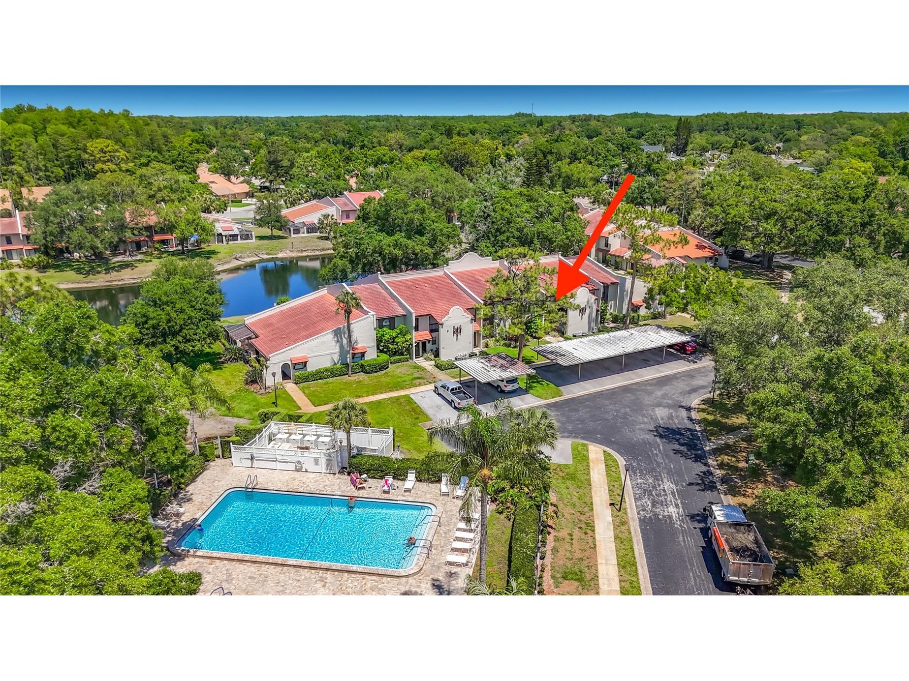 3505 Tarpon Woods Blvd #P408 Palm Harbor FL 34685 O6400609 image20