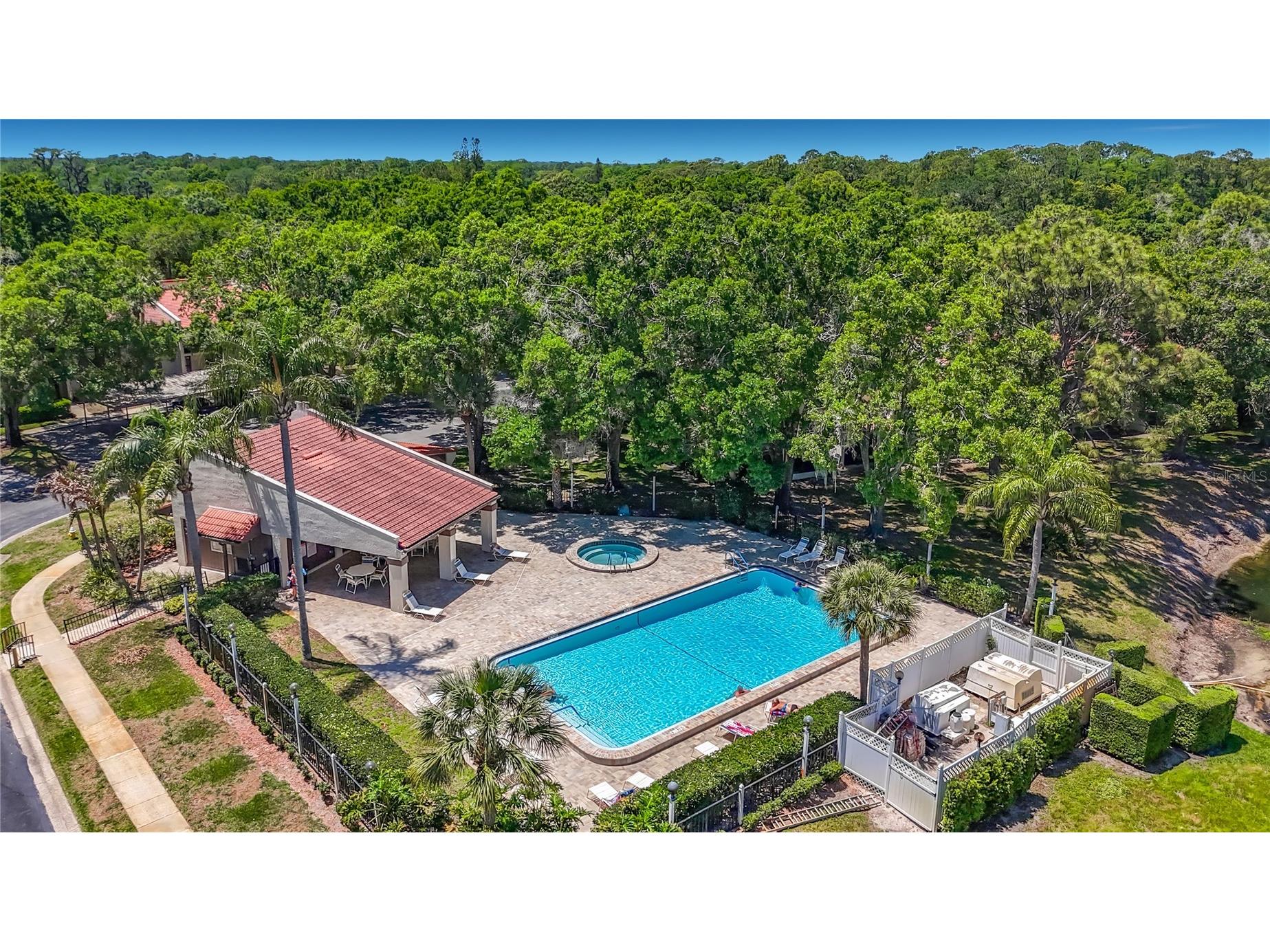 3505 Tarpon Woods Blvd #P408 Palm Harbor FL 34685 O6400609 image21