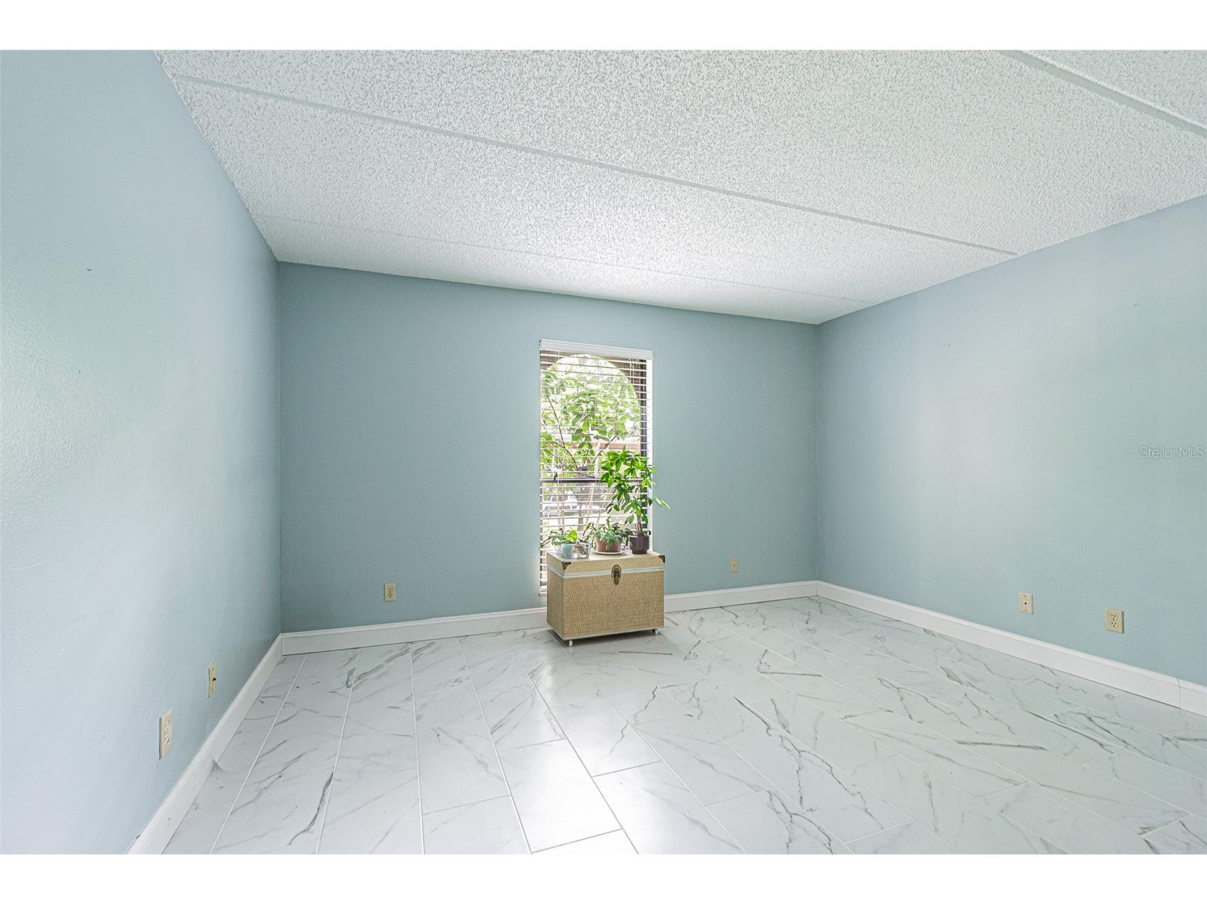 3505 Tarpon Woods Boulevard #G405 Palm Harbor FL 34685 TB8517595 image16