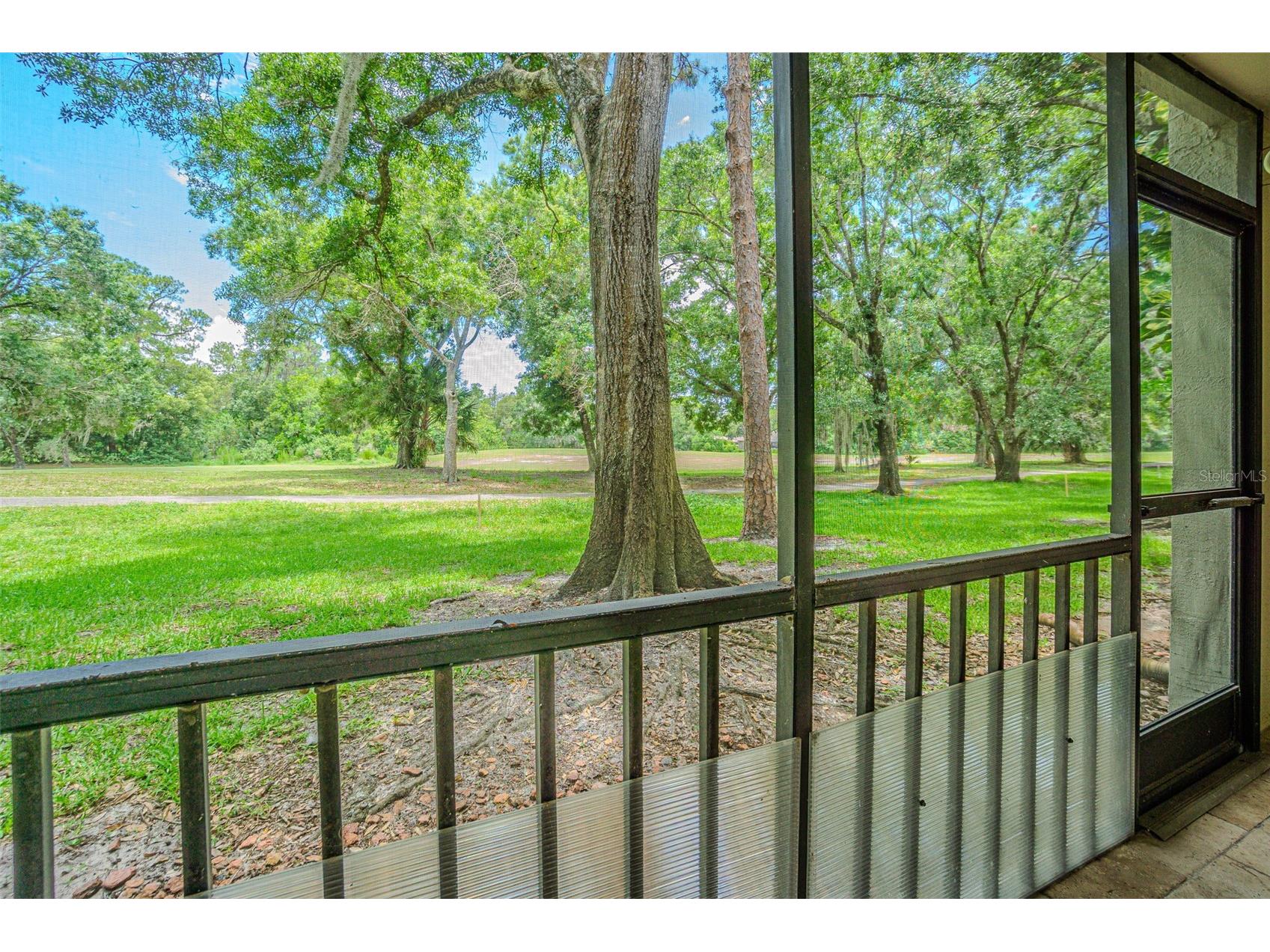 3505 Tarpon Woods Boulevard #G405 Palm Harbor FL 34685 TB8517595 image20