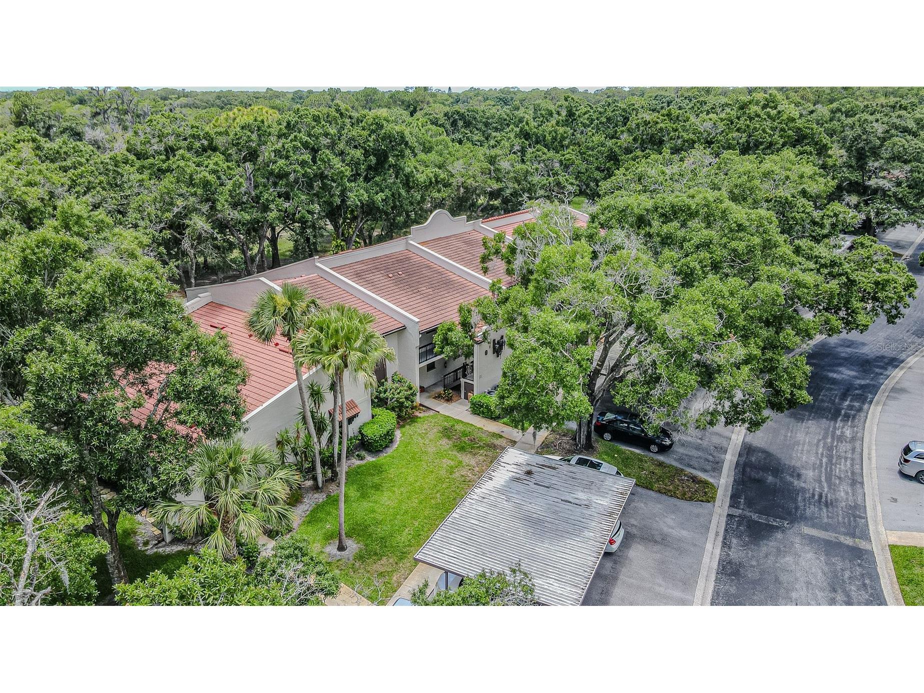 3505 Tarpon Woods Boulevard #G405 Palm Harbor FL 34685 TB8517595 image25