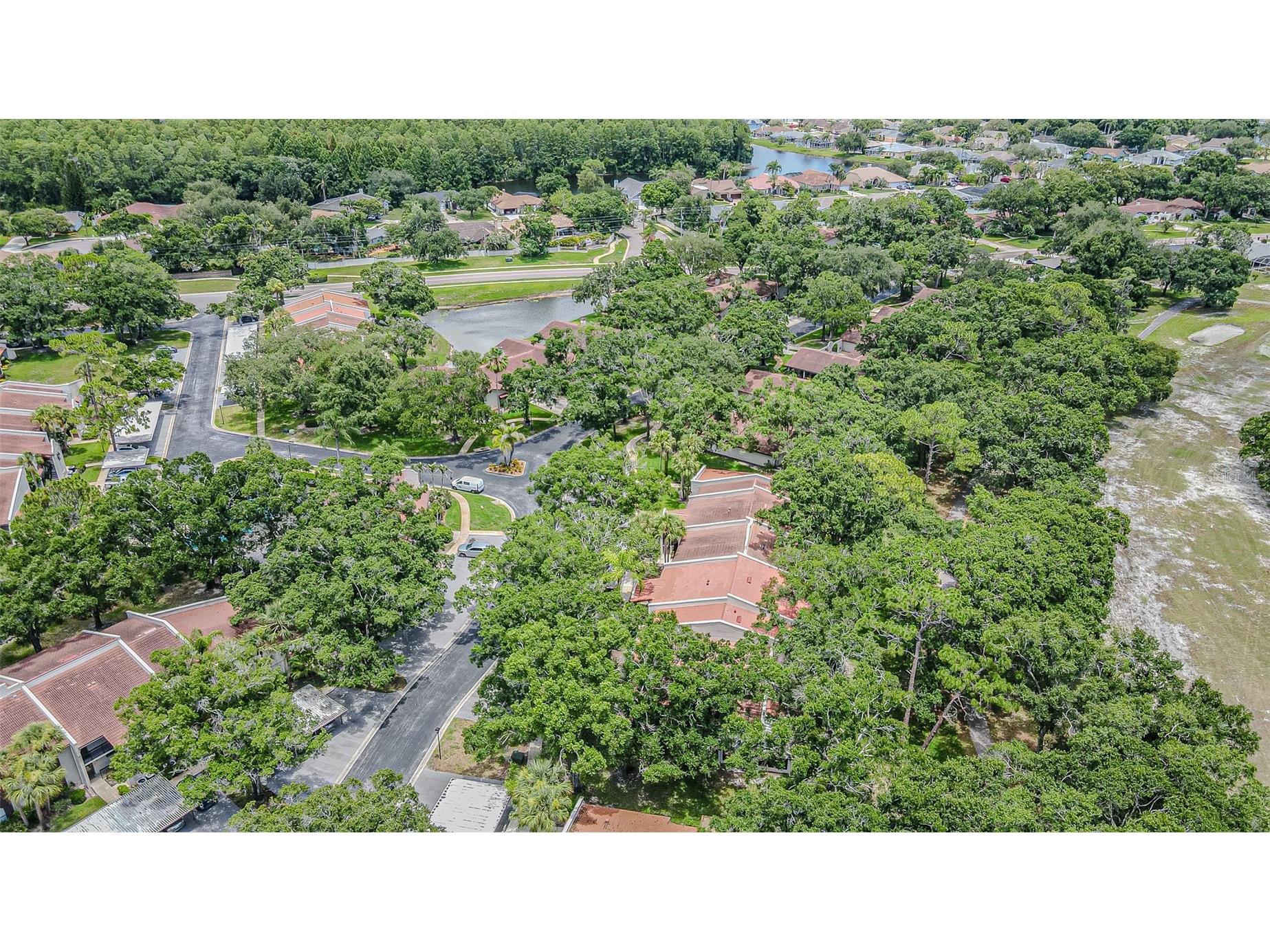 3505 Tarpon Woods Boulevard #G405 Palm Harbor FL 34685 TB8517595 image26
