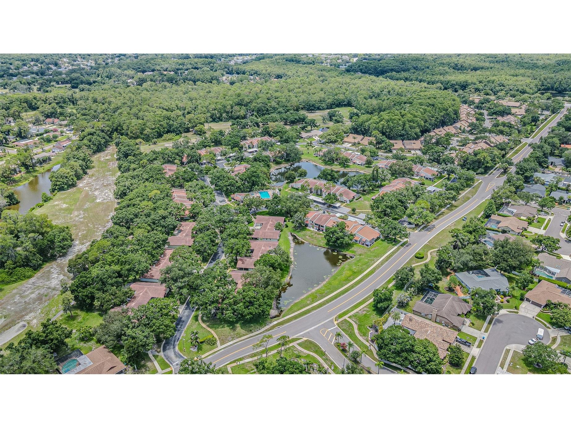 3505 Tarpon Woods Boulevard #G405 Palm Harbor FL 34685 TB8517595 image27