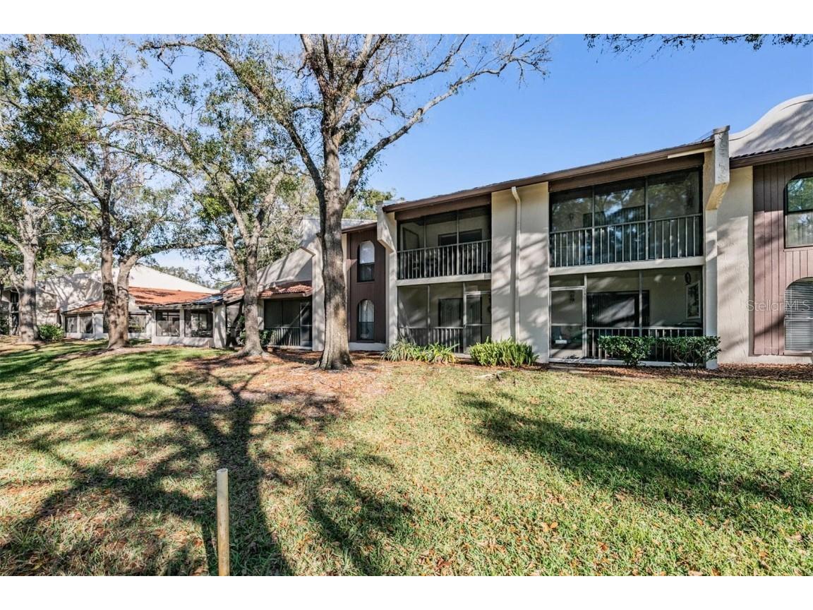 3505 Tarpon Woods Boulevard #G407 Palm Harbor FL 34685 TB8462428 image10