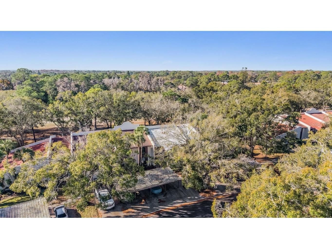 3505 Tarpon Woods Boulevard #G407 Palm Harbor FL 34685 TB8462428 image11