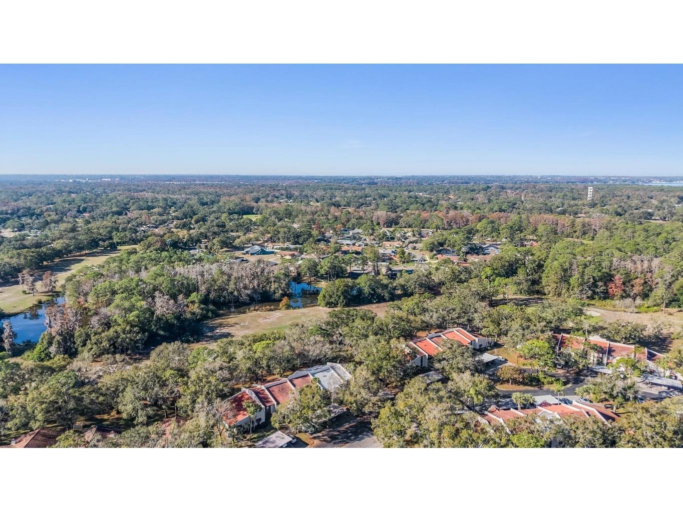 3505 Tarpon Woods Boulevard #G407 Palm Harbor FL 34685 TB8462428 image12