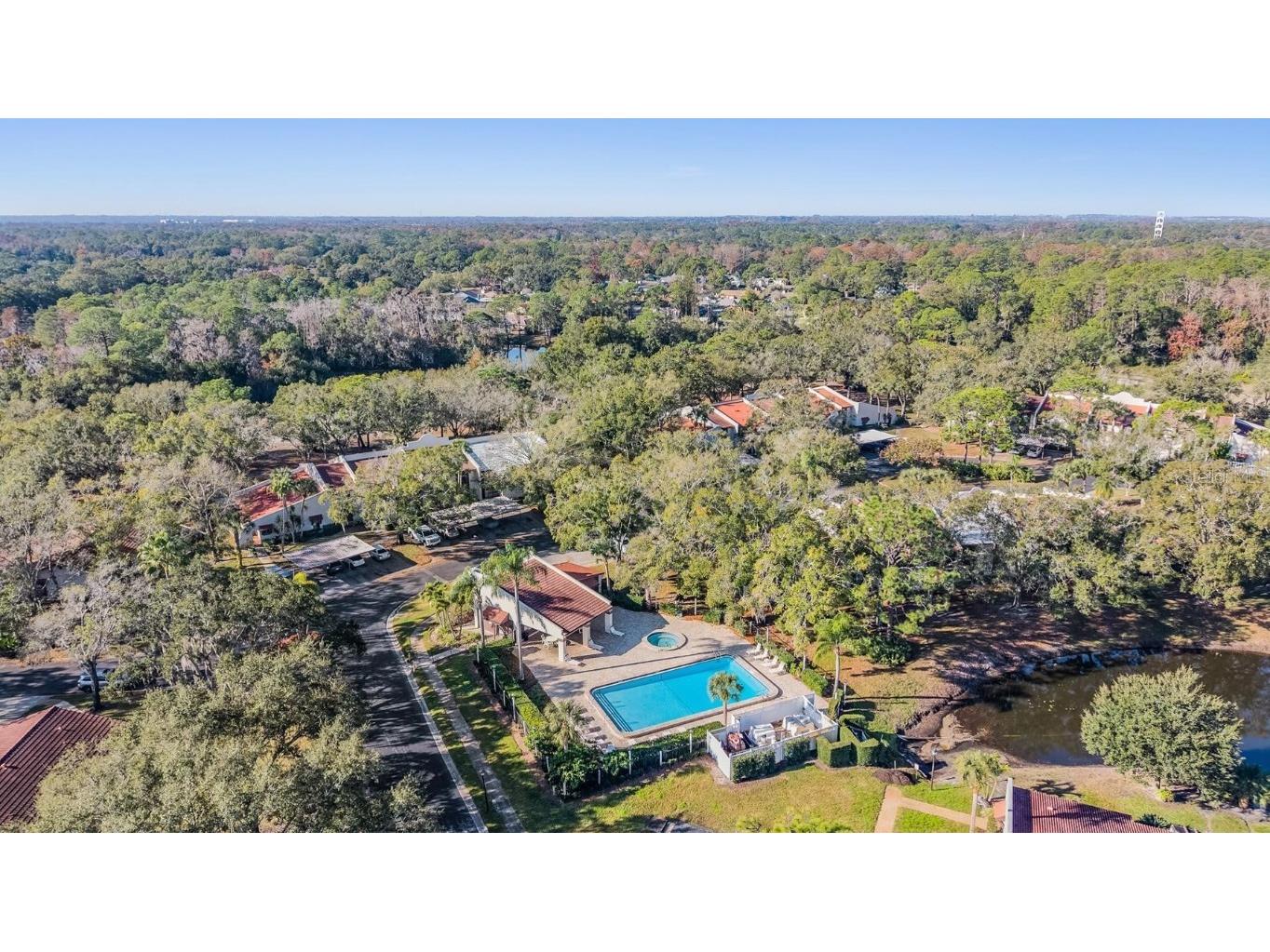 3505 Tarpon Woods Boulevard #G407 Palm Harbor FL 34685 TB8462428 image13