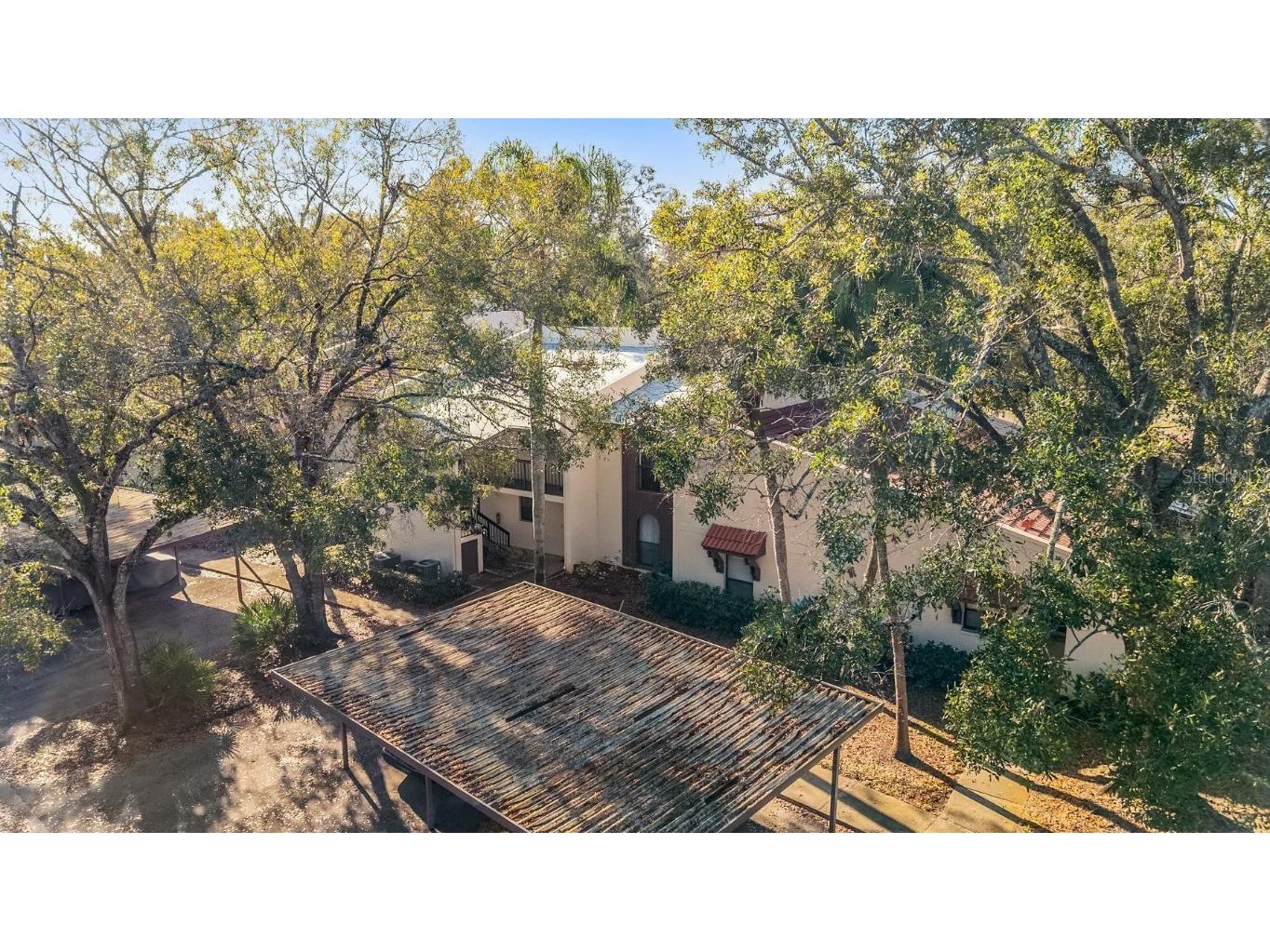 3505 Tarpon Woods Boulevard #G407 Palm Harbor FL 34685 TB8462428 image15