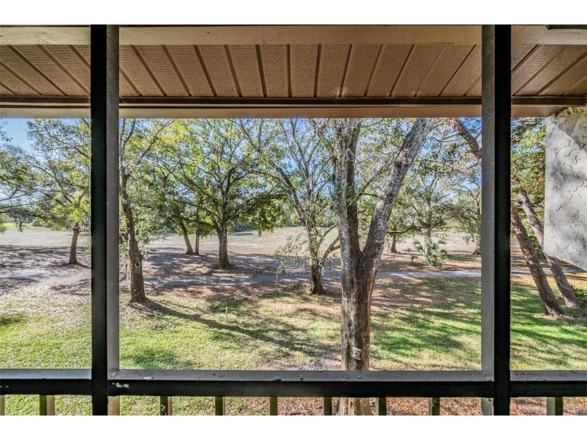 3505 Tarpon Woods Boulevard #G407 Palm Harbor FL 34685 TB8462428 image5
