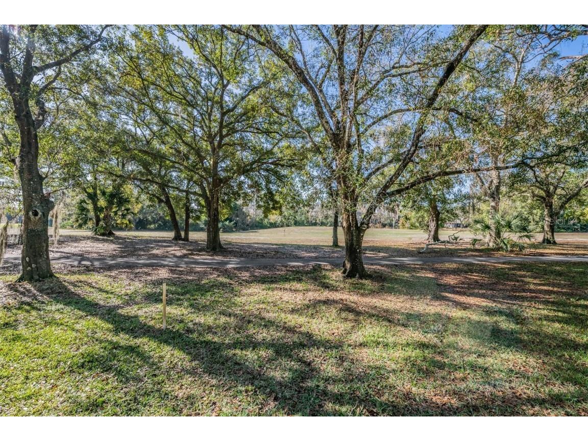 3505 Tarpon Woods Boulevard #G407 Palm Harbor FL 34685 TB8462428 image6