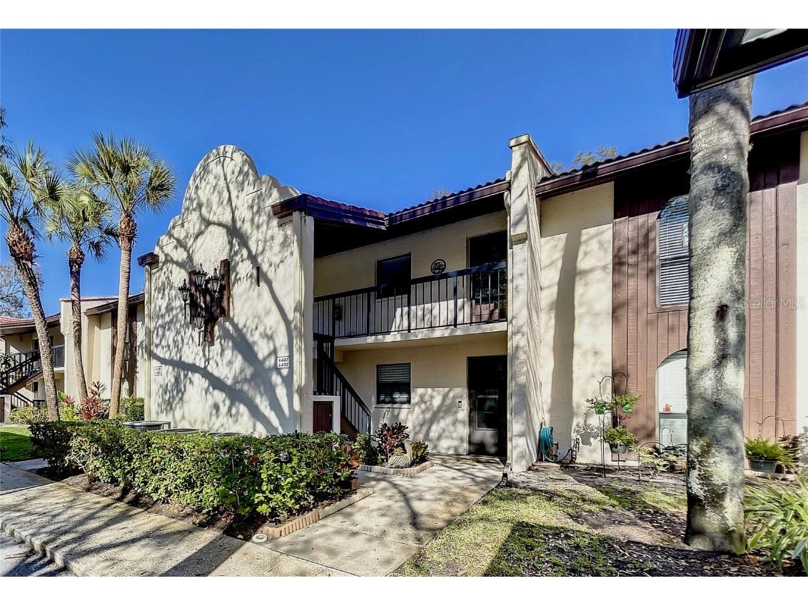 3505 Tarpon Woods Boulevard #I407 Palm Harbor FL 34685 TB8389818 image1