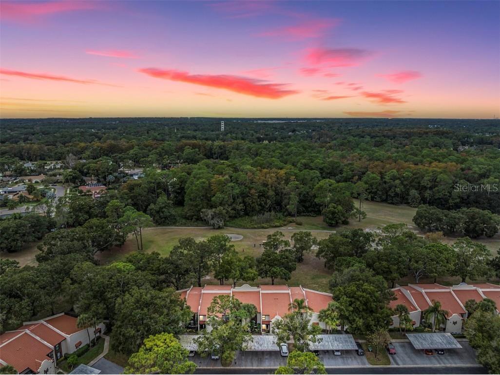 3505 Tarpon Woods Boulevard #J408 Palm Harbor FL 34685 U8222450 image1
