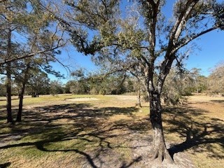 3505 Tarpon Woods Boulevard #J408 Palm Harbor FL 34685 TB8484921 image22