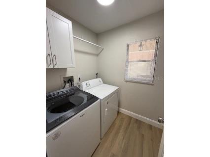 3505 Tarpon Woods Boulevard #J408 Palm Harbor FL 34685 TB8484921 image6
